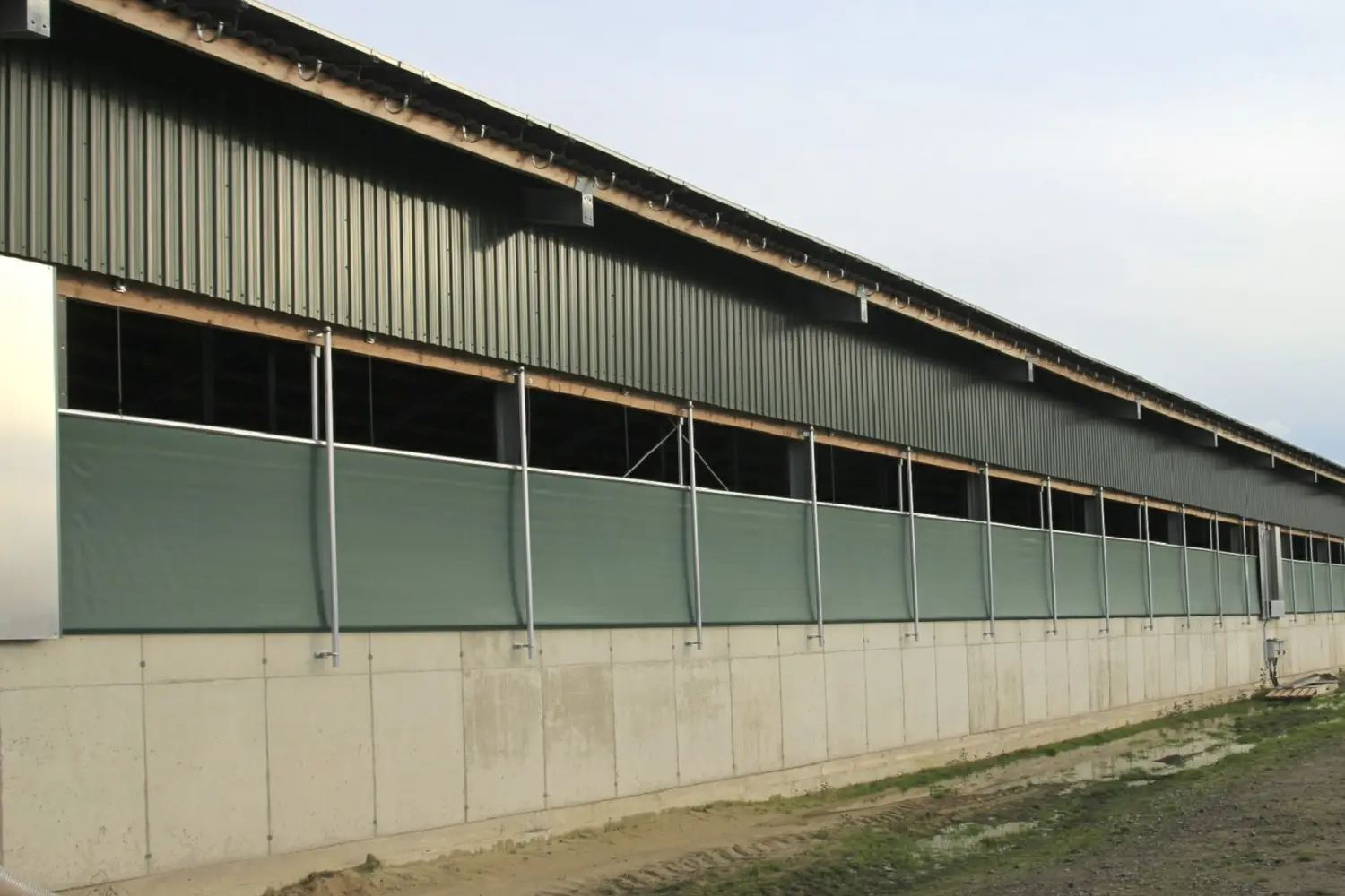 Rindermast Möhlenkamp