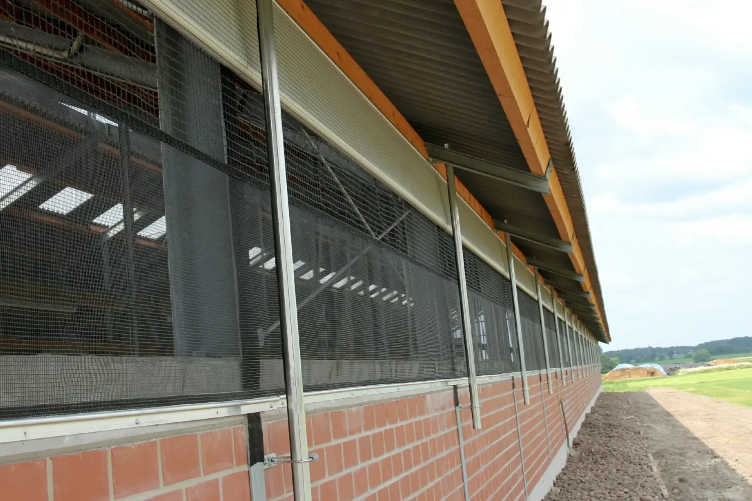Rindermast Möhlenkamp
