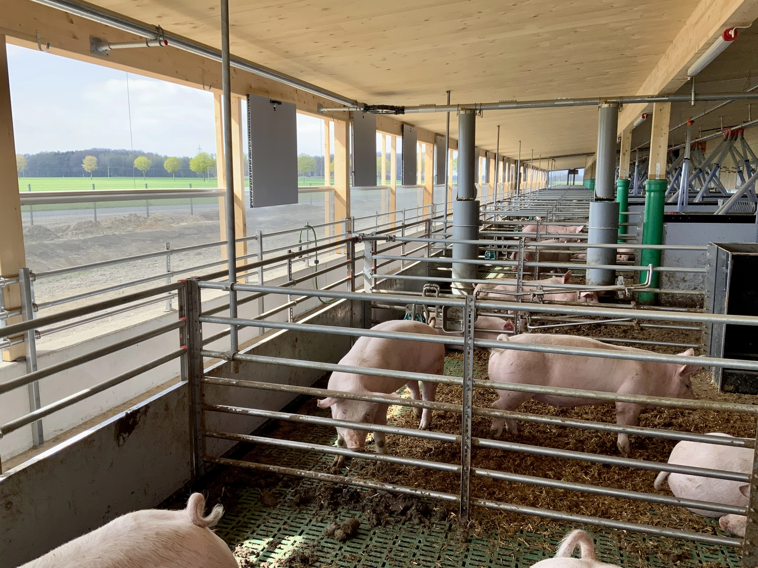 Schweinehaltung Möhlenkamp