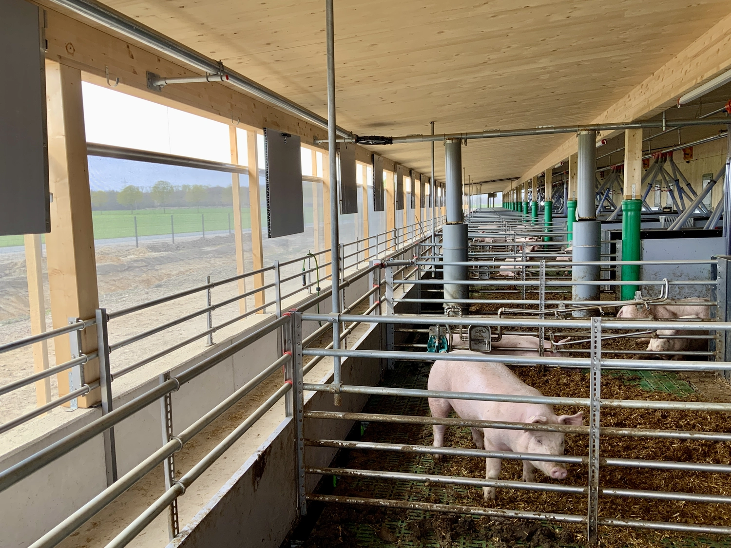 Schweinehaltung Möhlenkamp